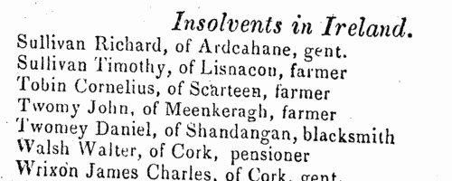 Irish Insolvents (1840)