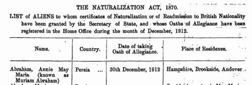 Naturalizations (1913)