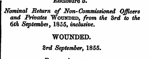 Wounded before Sebastopol: 55th Regiment of Foot
 (1855)