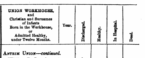 Infants in Carrick-on-Shannon Workhouse: Leitrim and Roscommon
 (1872)