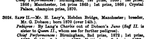 Owners and Breeders of Pedigree Greyhounds (1874)